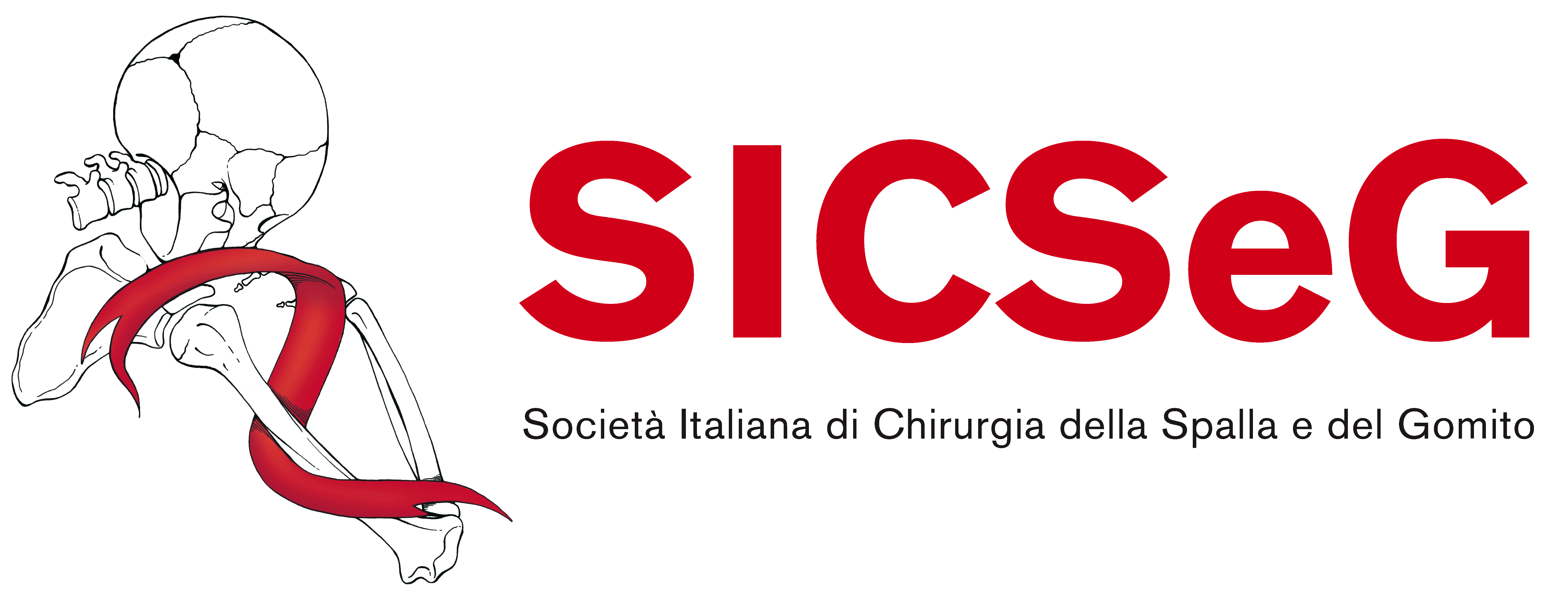 Sicseg